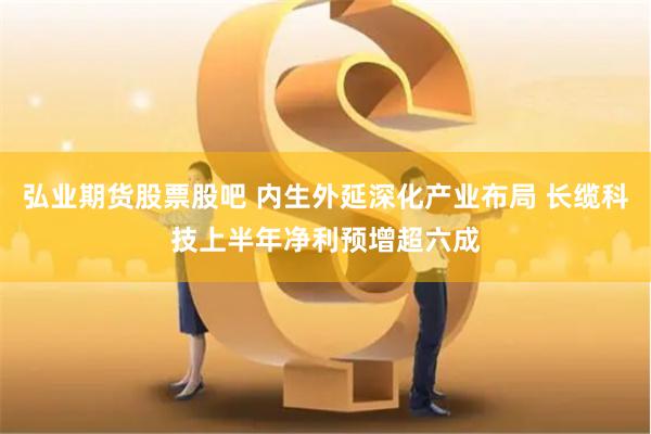 弘业期货股票股吧 内生外延深化产业布局 长缆科技上半年净利预增超六成