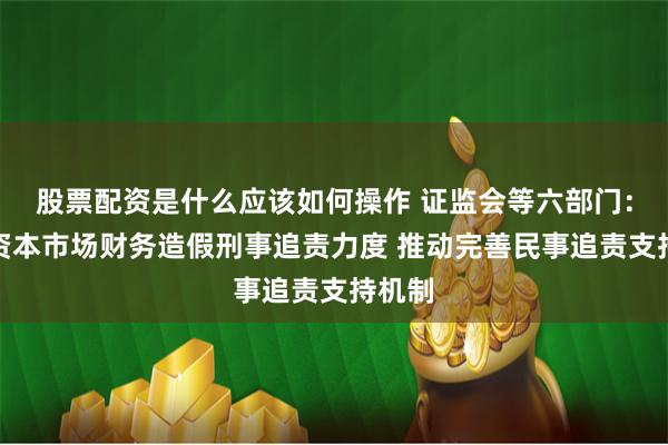 股票配资是什么应该如何操作 证监会等六部门：加大资本市场财务造假刑事追责力度 推动完善民事追责支持机制